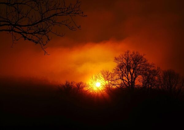 Silhouettes noires au soleil mourant, tableau soleil couchant dans la brume
