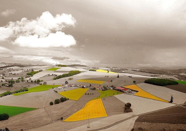 Champs jaunes dans la campagne sépia, tableau campagne vue d’en haut