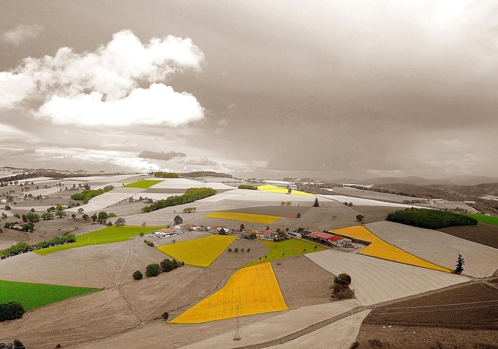 Champs jaunes dans la campagne sépia, tableau sur aluminium, aperçu dans un intérieur