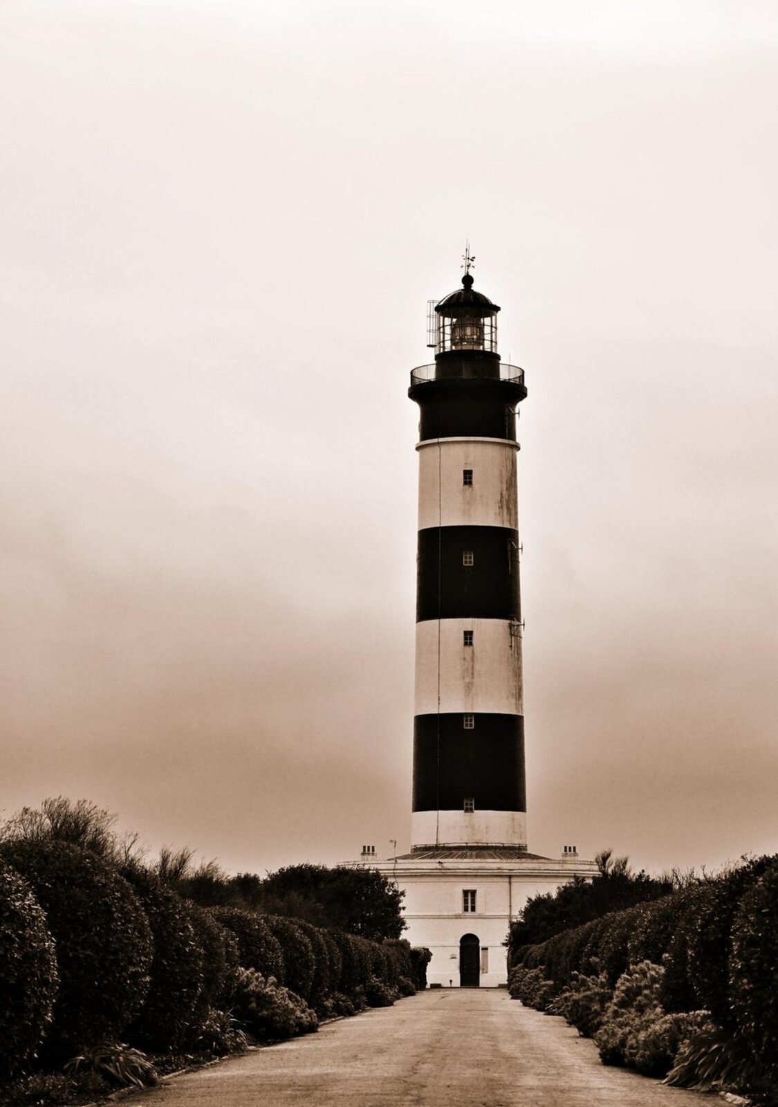 Le phare de Chassiron en sépia, tableau sur aluminium, aperçu dans un intérieur