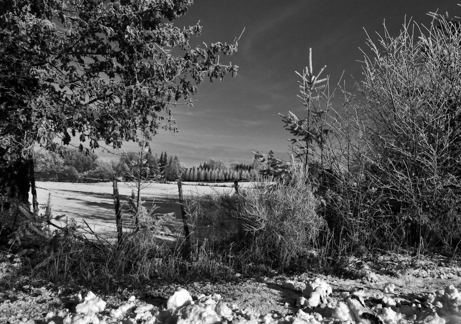Pré enneigé et clôture en noir et blanc, tableau sur aluminium, aperçu dans un intérieur