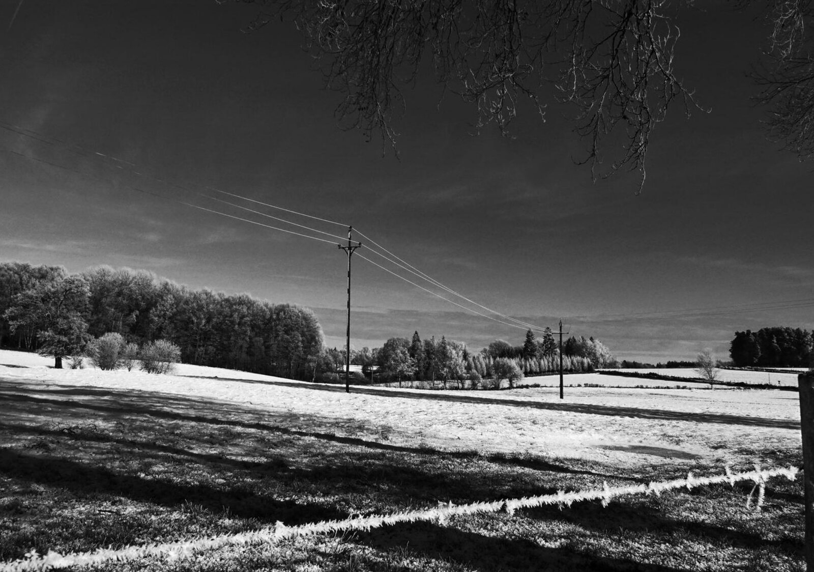 Prés givrés et poteau électrique en noir et blanc, tableau sur aluminium, aperçu dans un intérieur