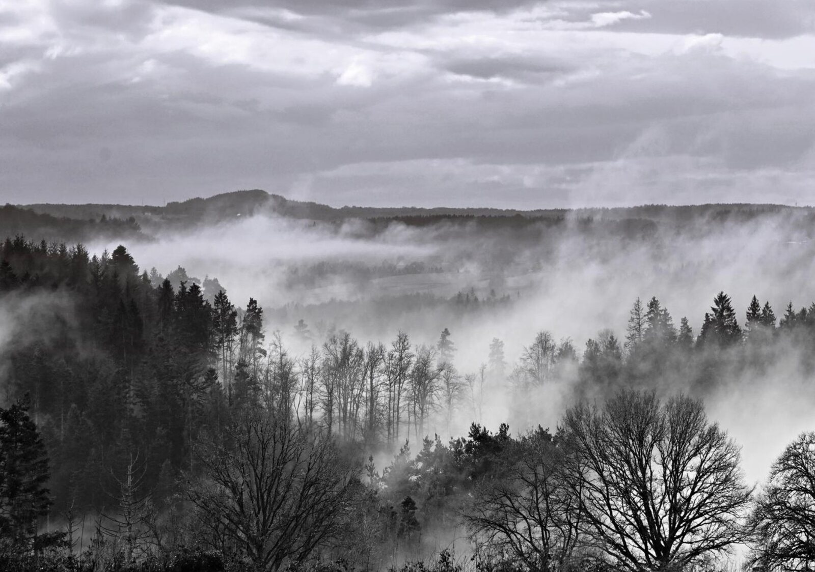 Ici, l’Auvergne se tait, tableau sur aluminium, aperçu dans un intérieur