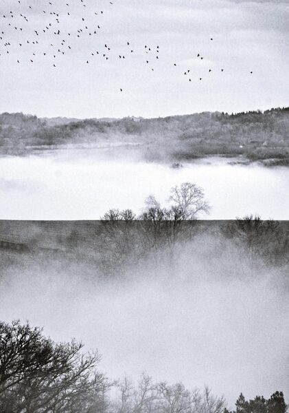 L’Auvergne en strates, tableau brume en strates et vol d’oiseaux