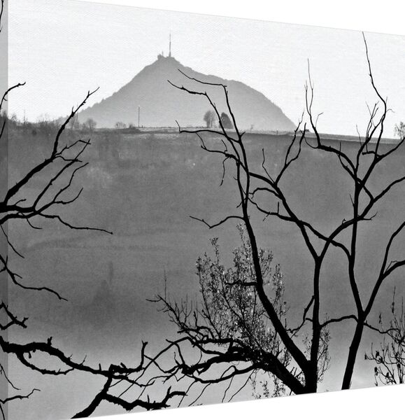 Le puy de Dôme derrière les branches, tableau puy de Dôme en noir et blanc