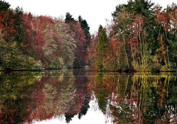 L’étang de Thyx sous un ciel blanc, tableau étang de Thyx, forêt d’automne