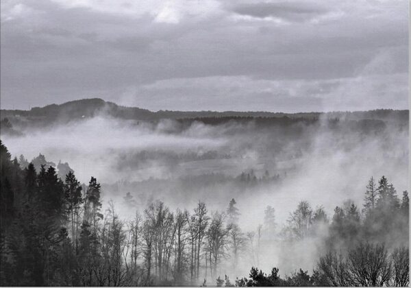 Vallée boisée dans la brume, tableau forêt dans la brume