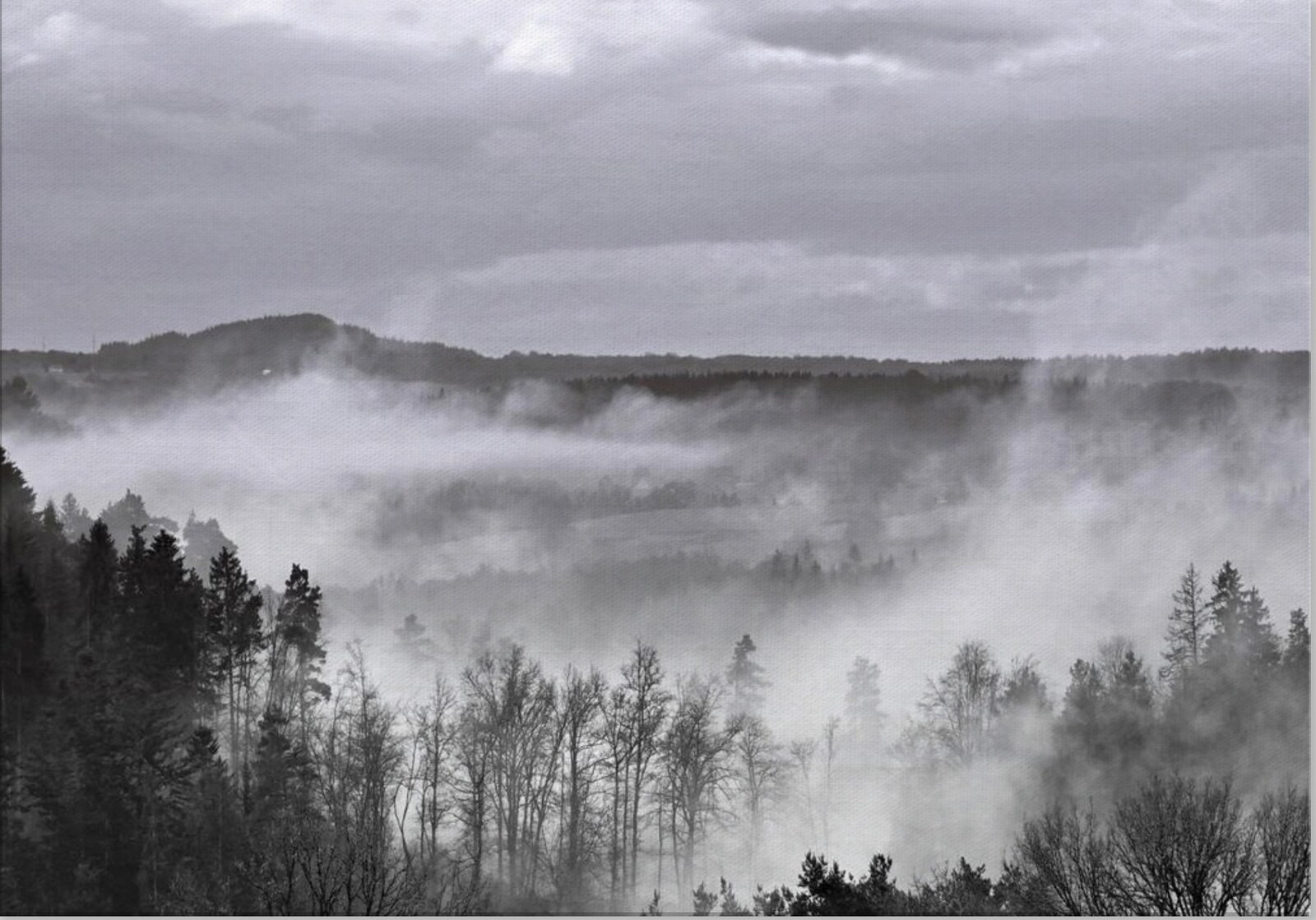 Vallée boisée dans la brume, tableau sur aluminium, aperçu dans un intérieur