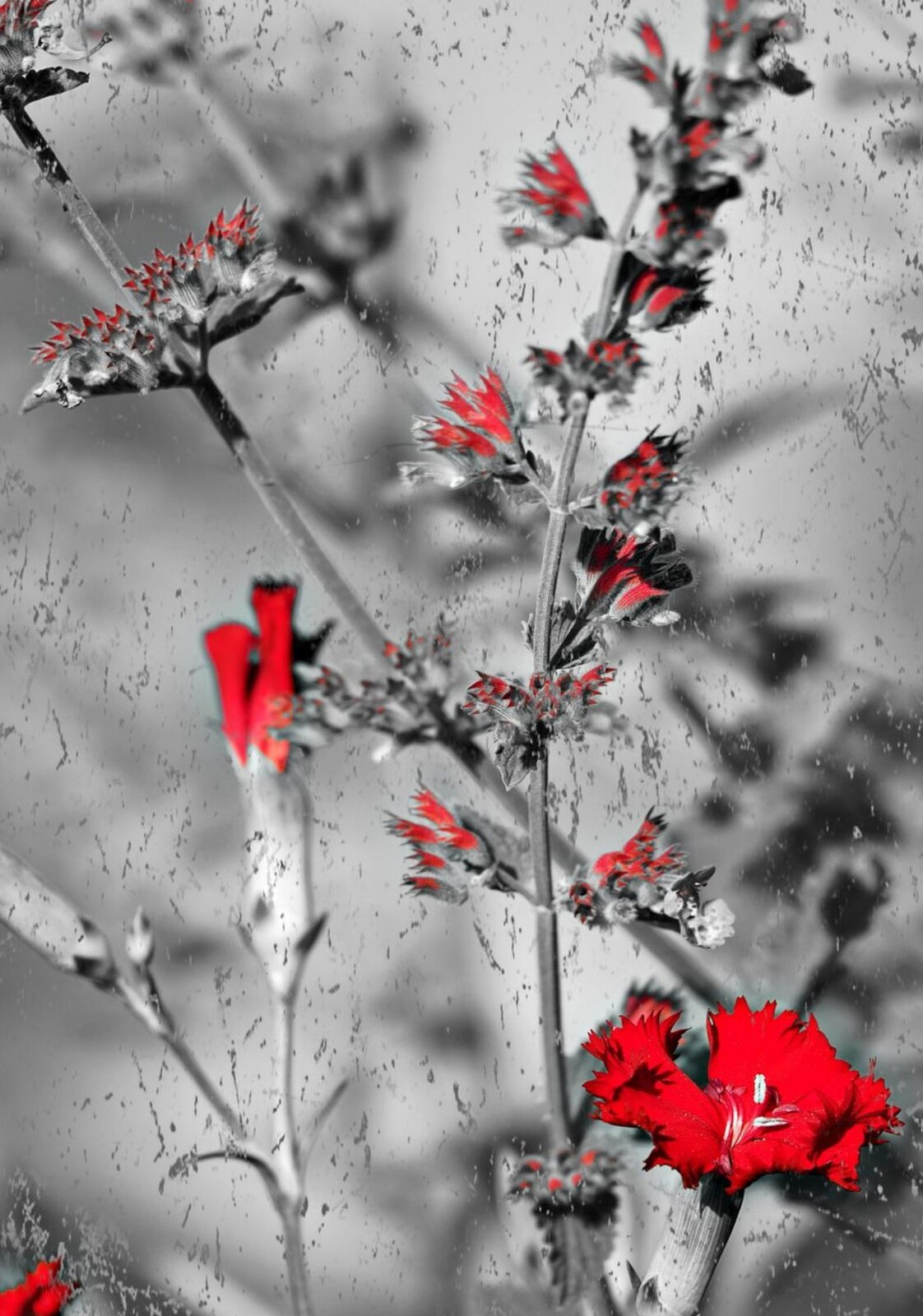 La nature a tagué son propre mur, tableau sur aluminium, aperçu dans un intérieur