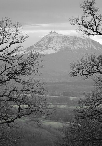 Le puy de Dôme entre les branches, tableau puy de Dôme encadré d’arbres