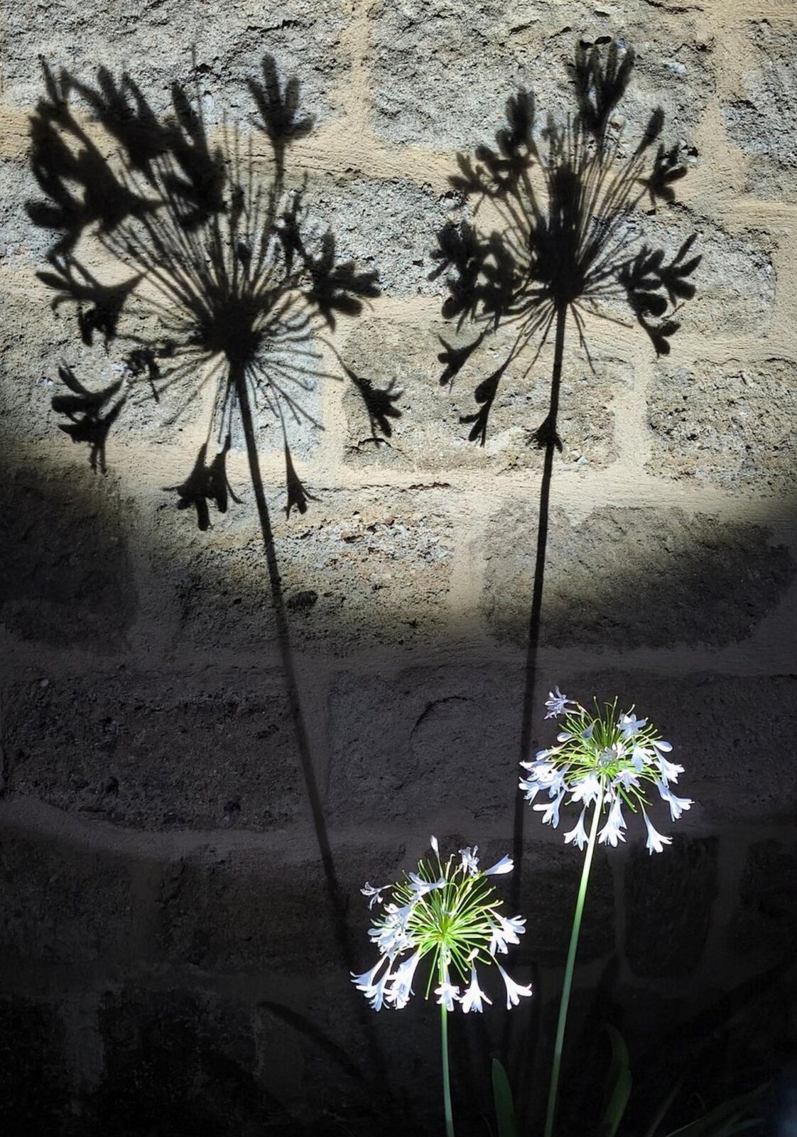 Entre ombre et éclat, tableau sur aluminium, aperçu dans un intérieur