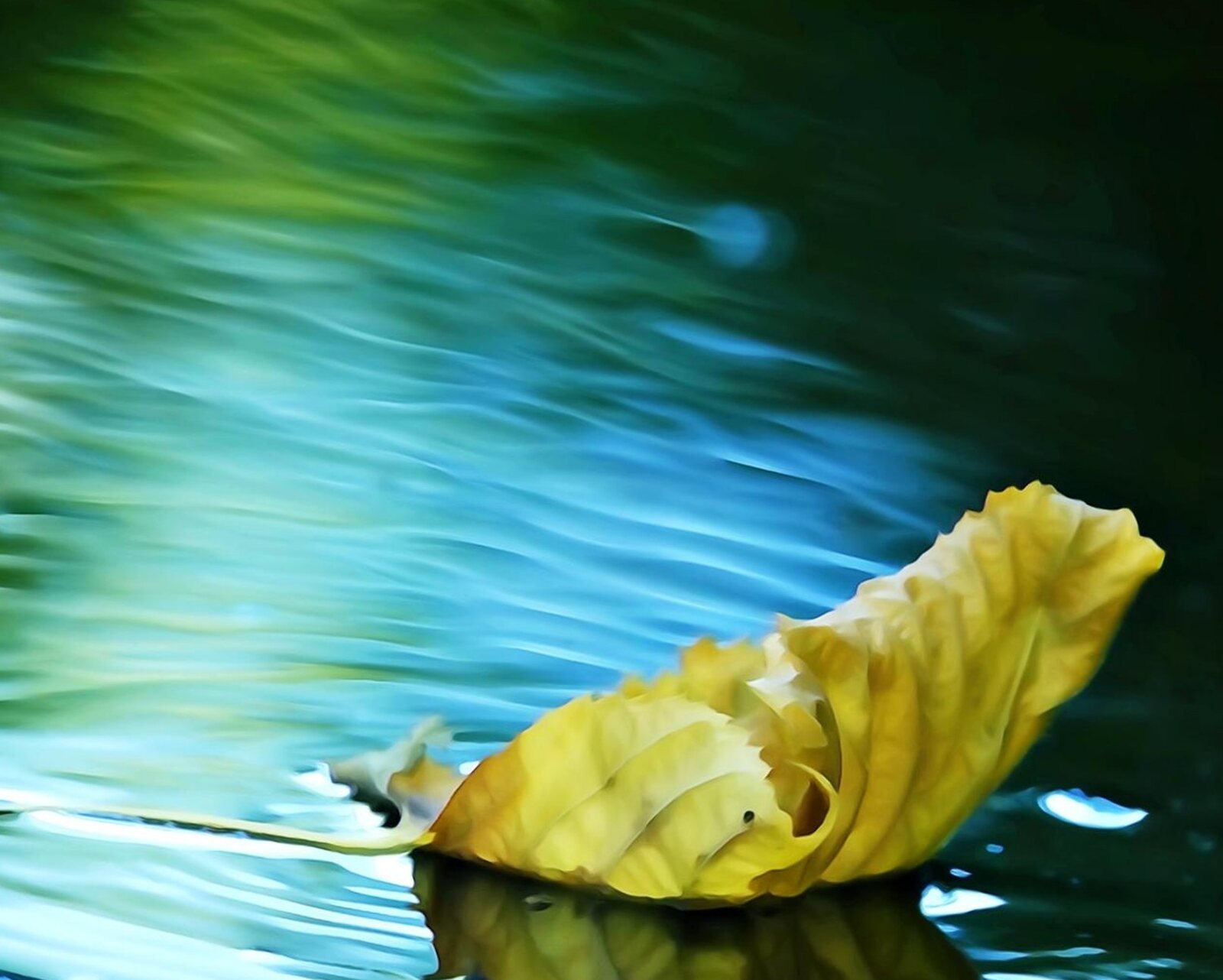 Pendant ce temps dans les cours d’eau, tableau sur aluminium, aperçu dans un intérieur