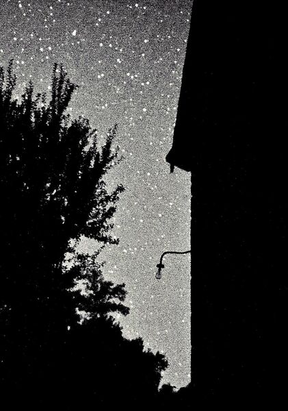 Ciel étoilé entre l’arbre et la maison, tableau ciel étoilé et silhouettes