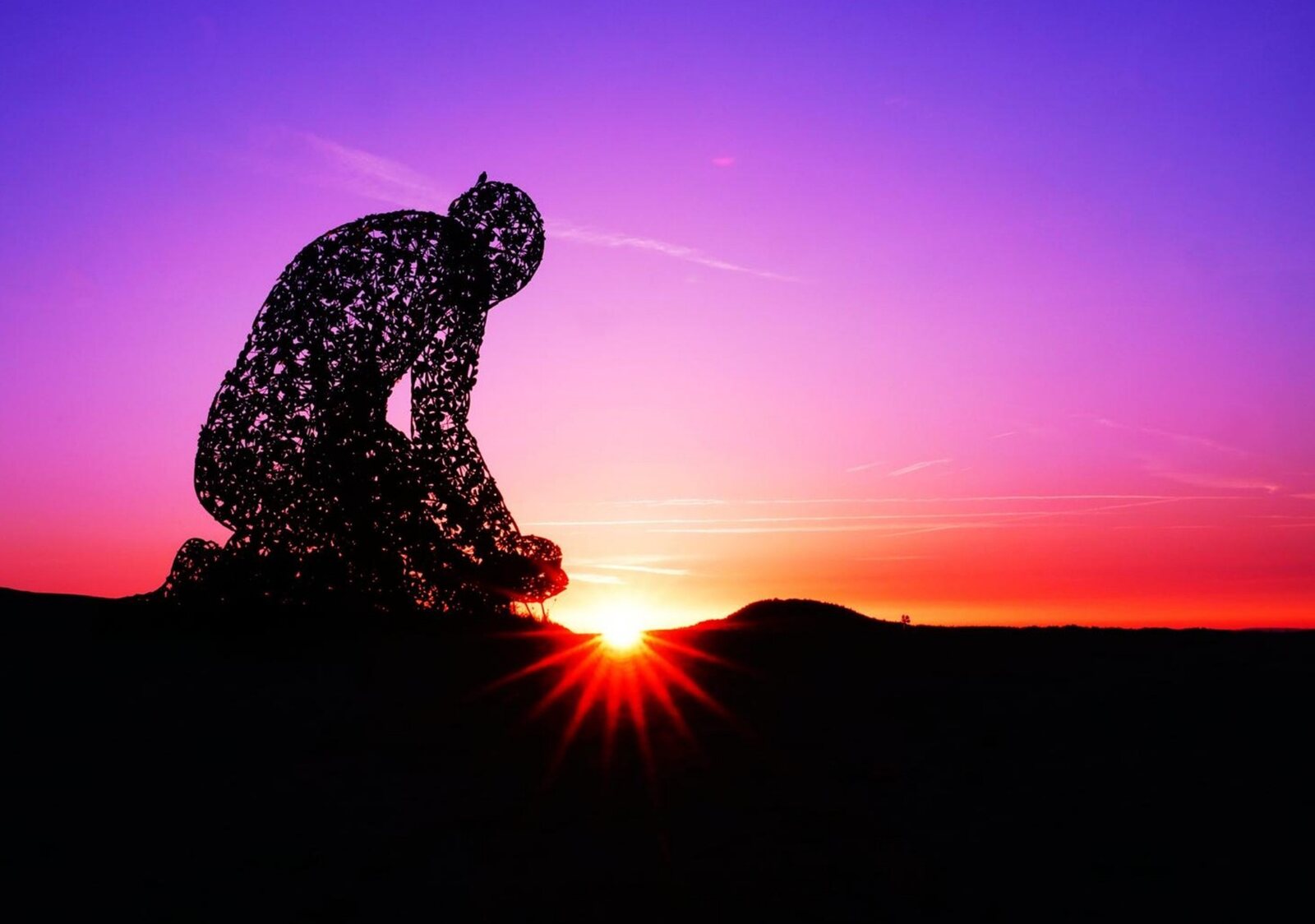 Nature → regard → émotion → introspection → apaisement, tableau sur aluminium, aperçu dans un intérieur