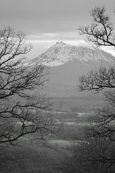 Le puy de Dôme entre les branches, tableau puy de Dôme encadré d’arbres