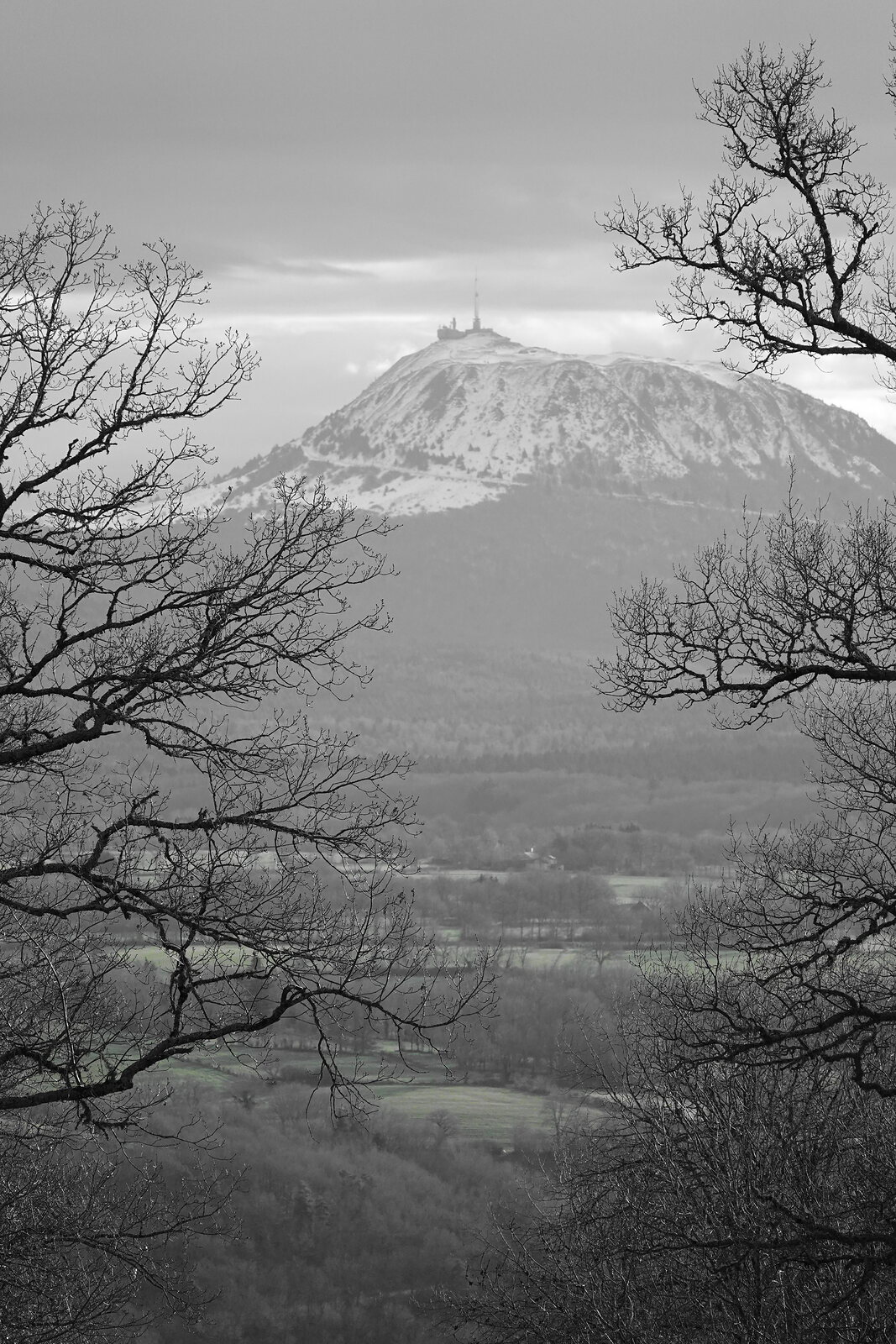 Le puy de Dôme entre les branches, photographie sur toile ou en affiche encadrée, aperçu dans un intérieur