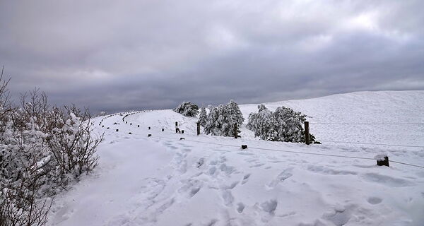 Chemin enneigé sous un ciel d’hiver, tableau chemin enneigé en montagne