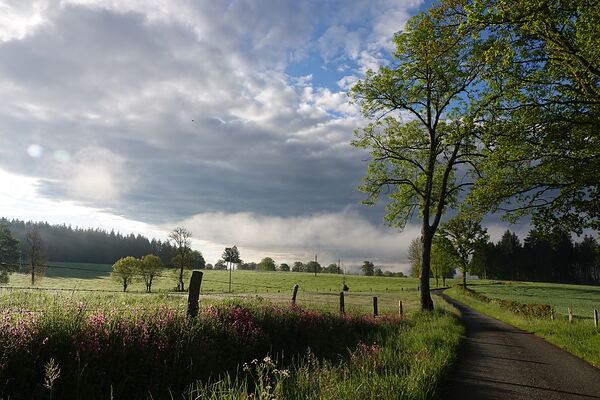 Route de campagne sous un ciel changeant, tableau route de campagne sous les nuages
