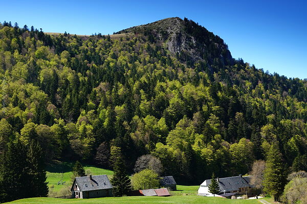 La montagne boisée aux verts du printemps, tableau montagne boisée au printemps