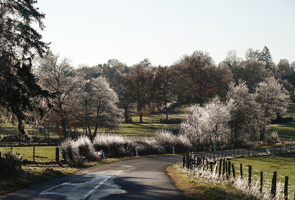Route de campagne sous le givre, tableau route de campagne givrée