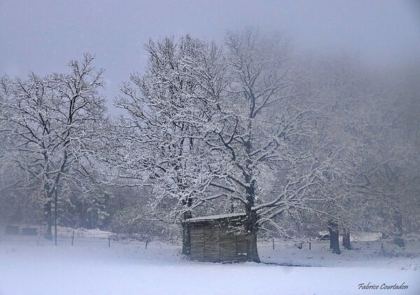 La cabane sous la neige et le brouillard, tableau cabane et arbres enneigés