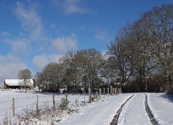 Le chemin enneigé et la grange, tableau chemin de campagne sous la neige