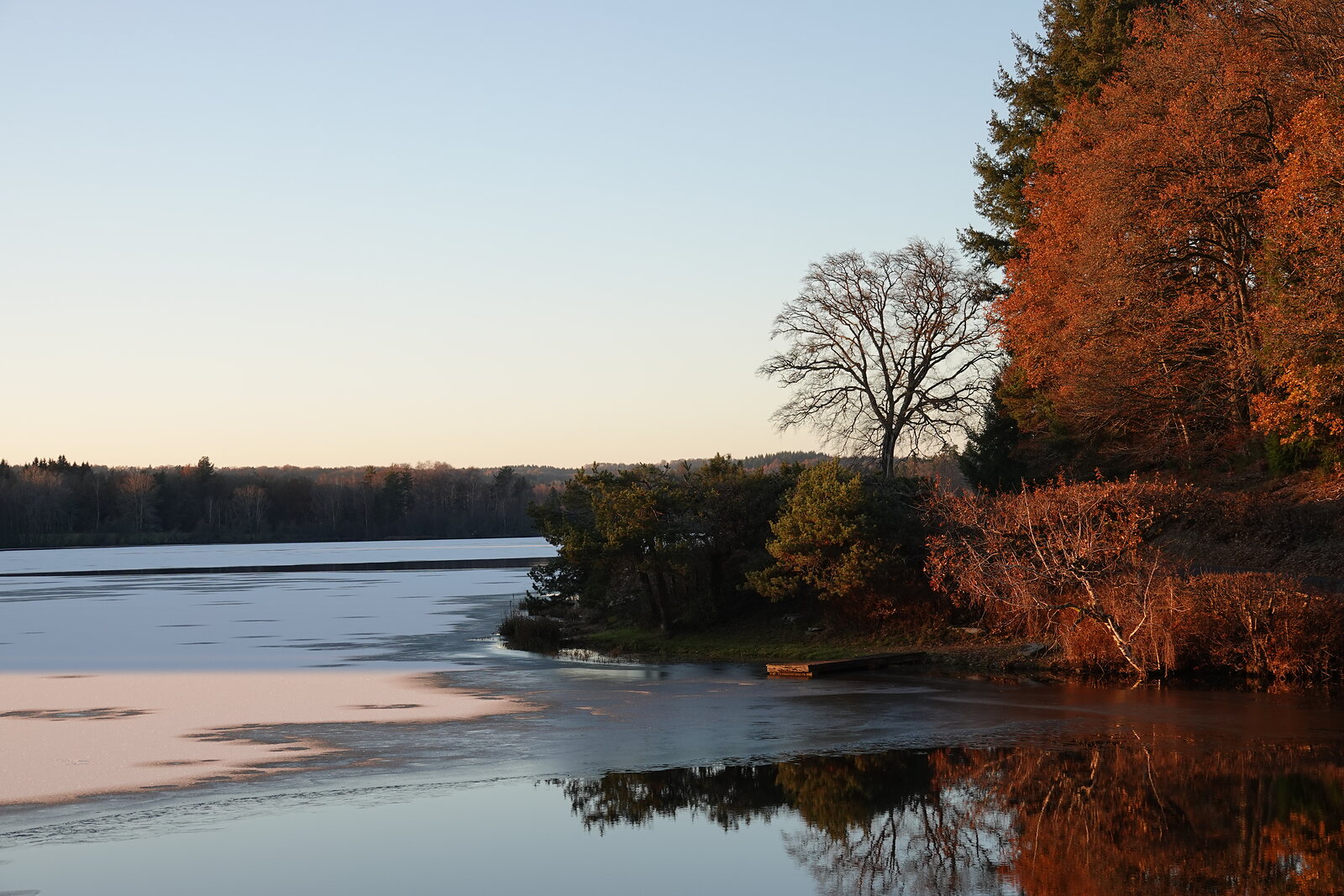 Arbres roux au bord du lac en fin de journée, photographie sur toile ou en affiche encadrée, aperçu dans un intérieur