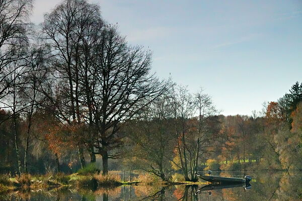 Grands arbres d’automne au bord du lac, tableau lac d’automne et grands arbres