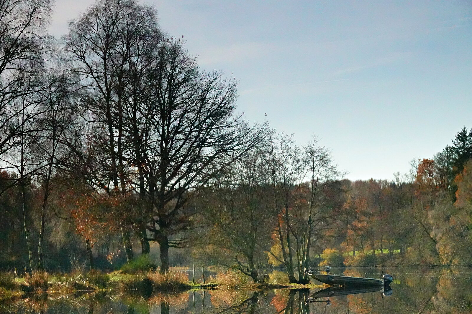 Grands arbres d’automne au bord du lac, photographie sur toile ou en affiche encadrée, aperçu dans un intérieur