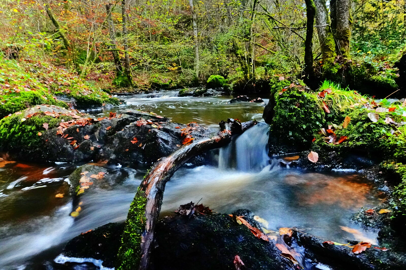 Torrent moussu et petite chute en automne, photographie sur toile ou en affiche encadrée, aperçu dans un intérieur