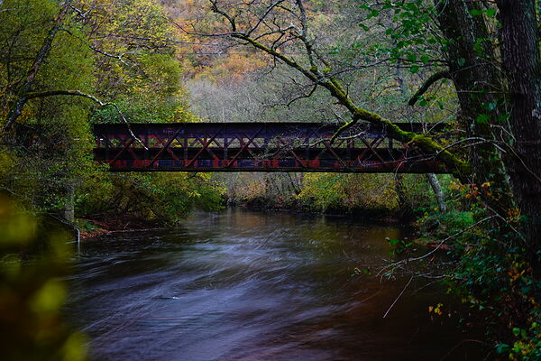 Passerelle sur la rivière en automne, tableau passerelle métallique sur une rivière