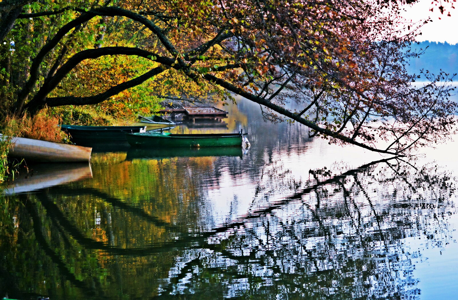 Barques sous les branches au bord du lac, photographie sur toile ou en affiche encadrée, aperçu dans un intérieur