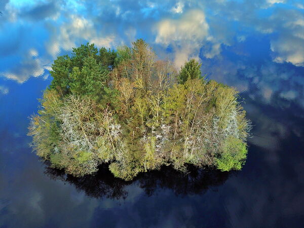 Îlot boisé au milieu du ciel reflété, tableau îlot boisé sur un étang