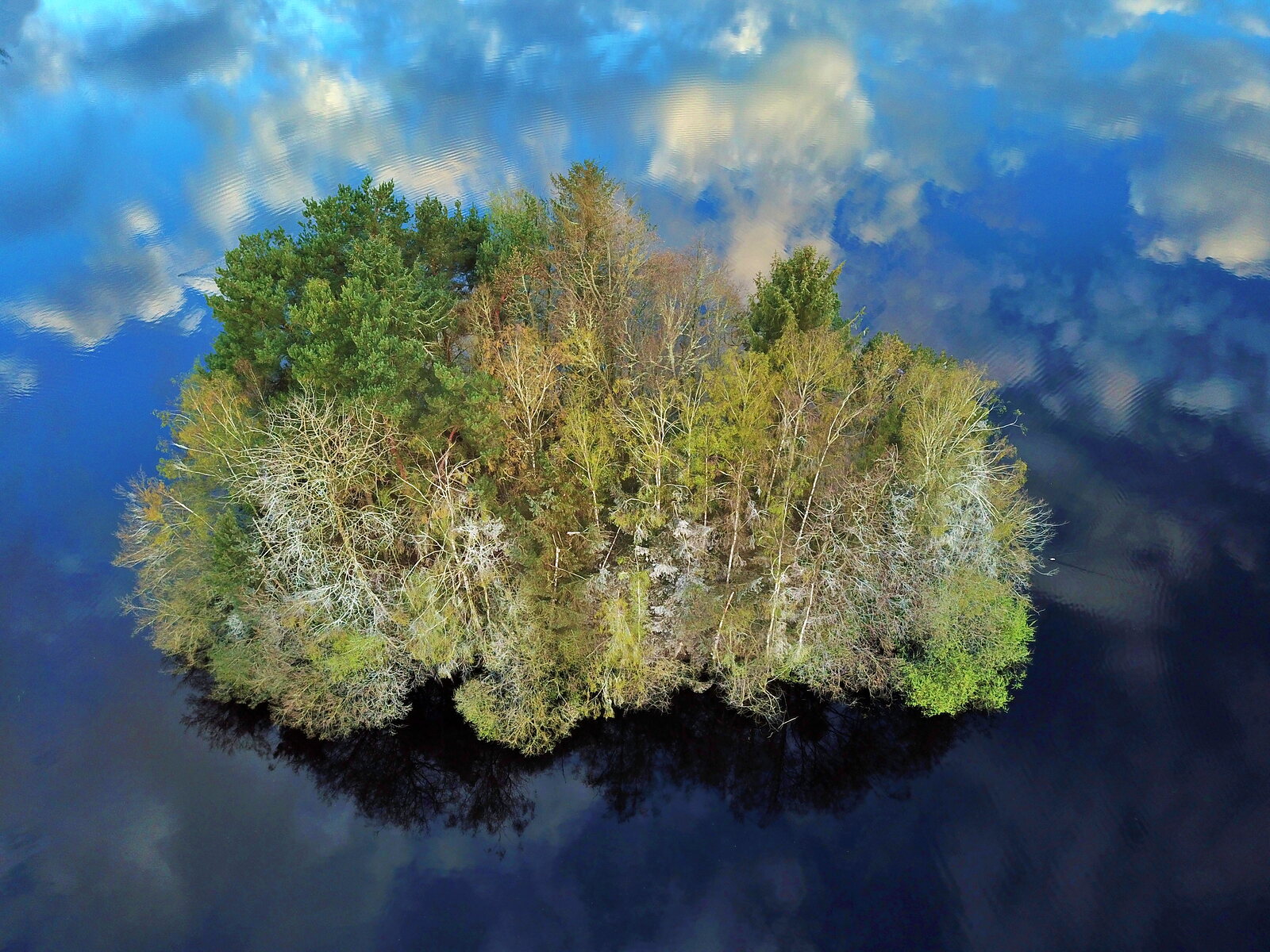 Îlot boisé au milieu du ciel reflété, photographie sur toile ou en affiche encadrée, aperçu dans un intérieur
