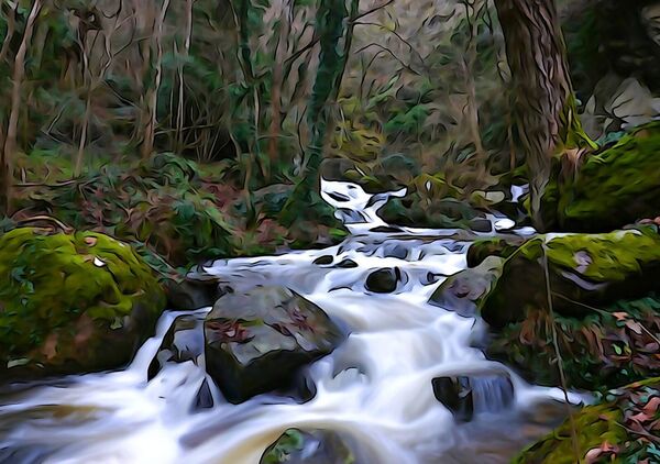 Le torrent aux pierres moussues, tableau torrent en forêt