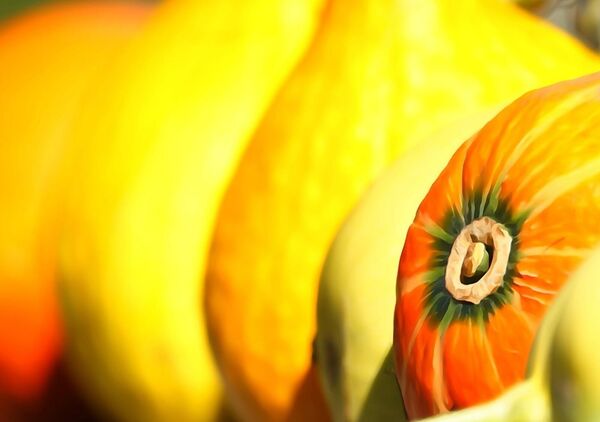 Caravane de courges, tableau courges jaunes et orange