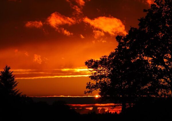 La douceur du couchant, tableau ciel rouge au couchant et arbres en silhouette