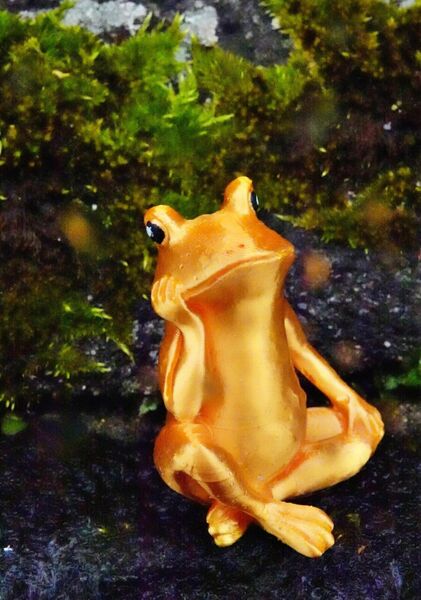 Grenouille dorée sur la mousse, tableau figurine de grenouille dorée