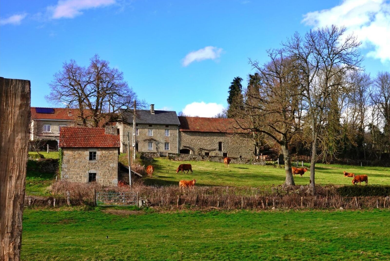 Le hameau creusois et ses vaches, tableau sur aluminium, aperçu dans un intérieur