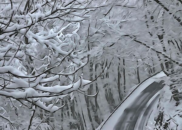 La route sous les branches enneigées, tableau forêt sous la neige